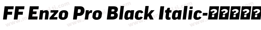 FF Enzo Pro Black Italic字体转换